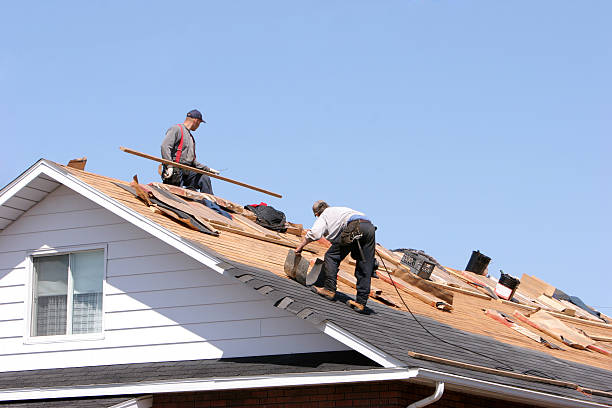 Best Roofing for New Construction  in Renville, MN