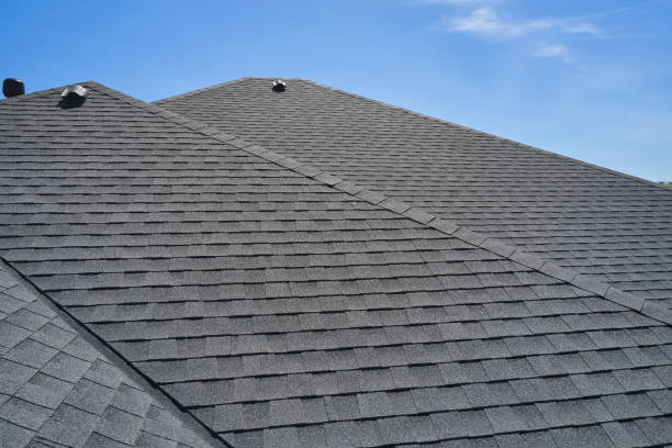 Best Roof Leak Repair  in Renville, MN